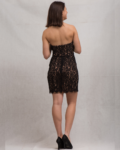 Μίνι φόρεμα με δαντέλα | Dolce Domenica